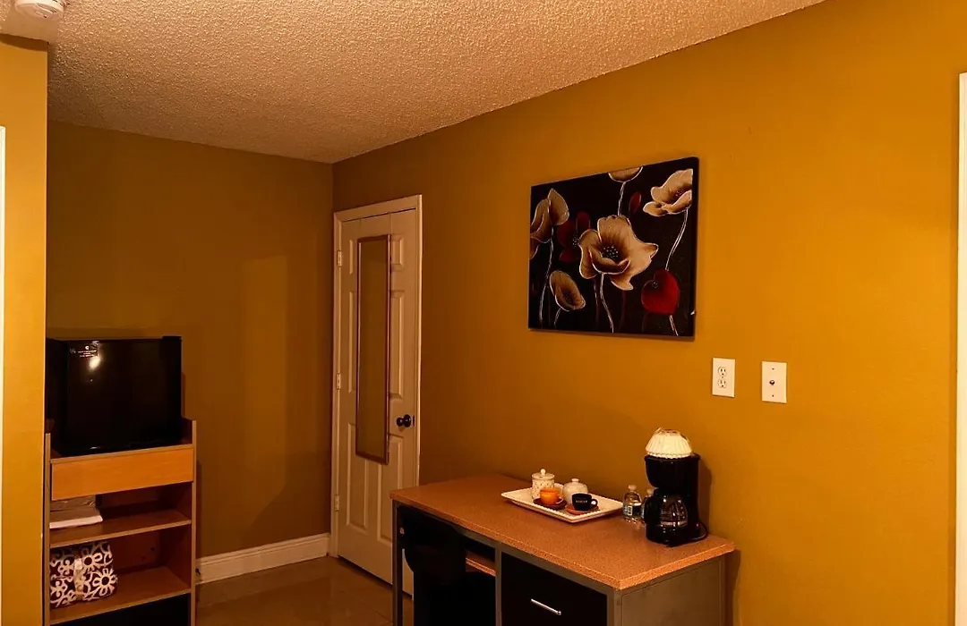 Nice Room Near Ucf-1