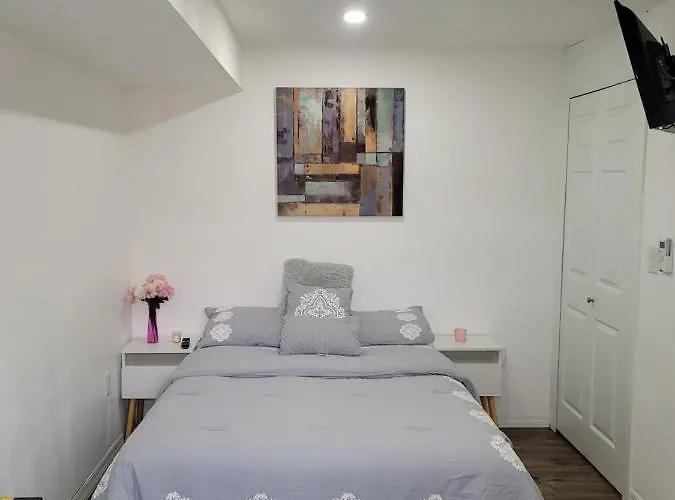 Cozy Studio Apt Orlando